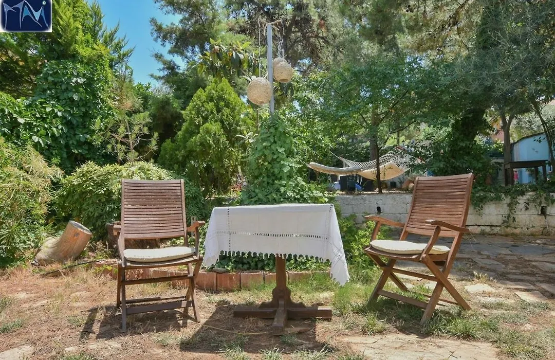 Mavi Pension-1