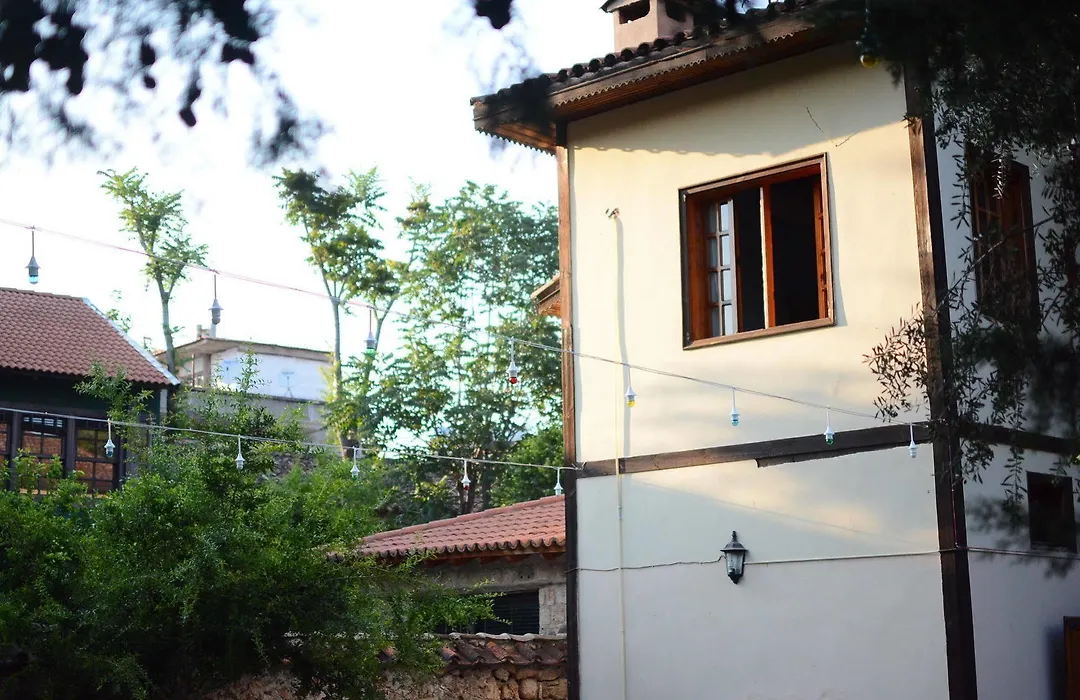Otel Wood House-1