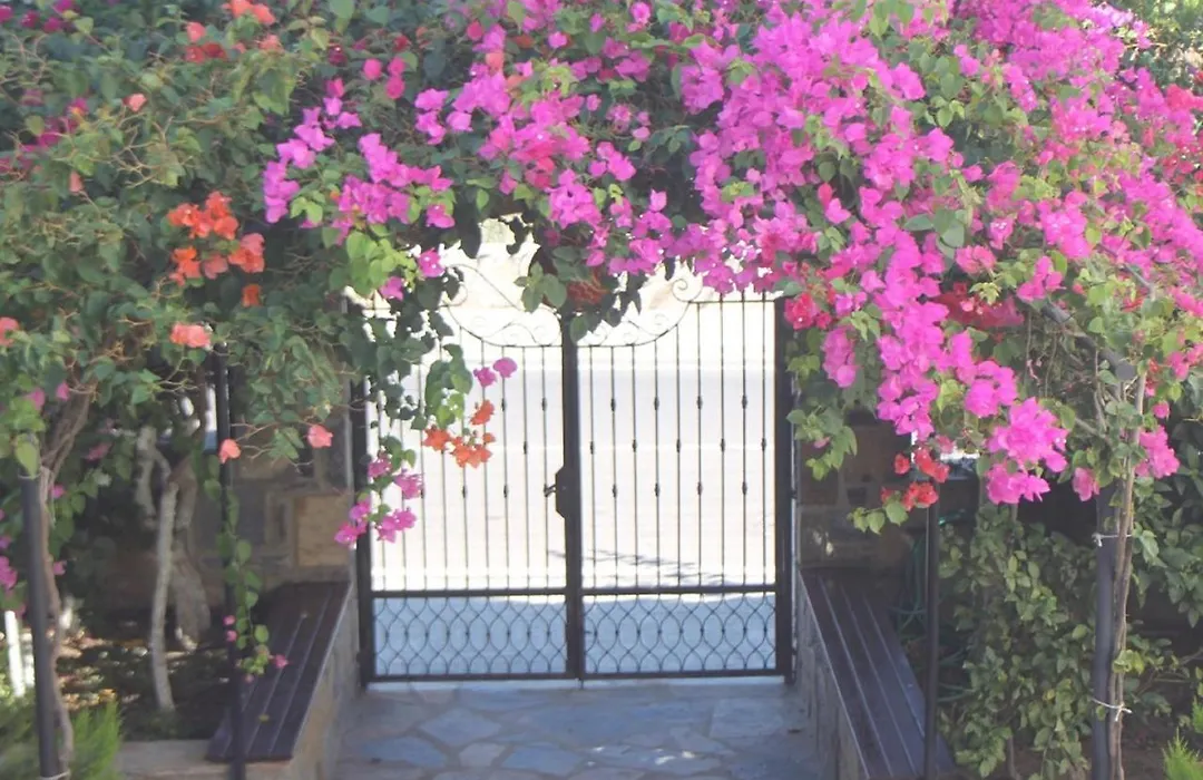 Lemon Tree Apart Hotel-1