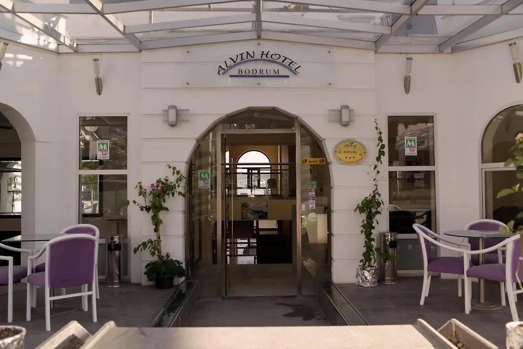 Alvin Hotel-1