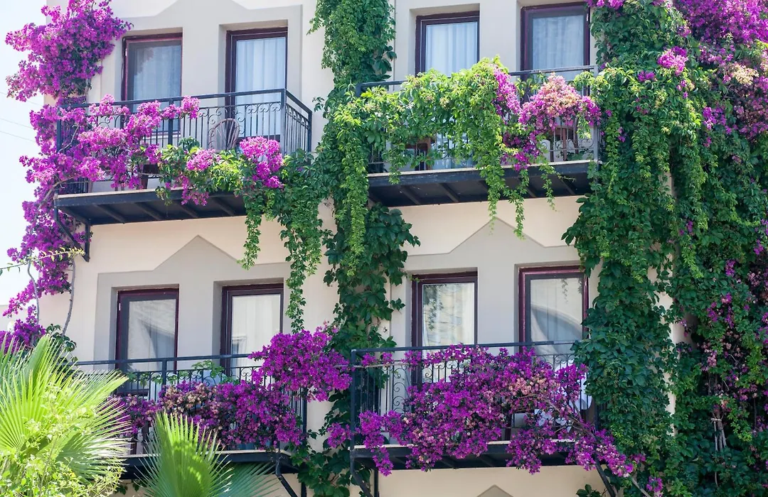 Crystal Hotel Bodrum-1