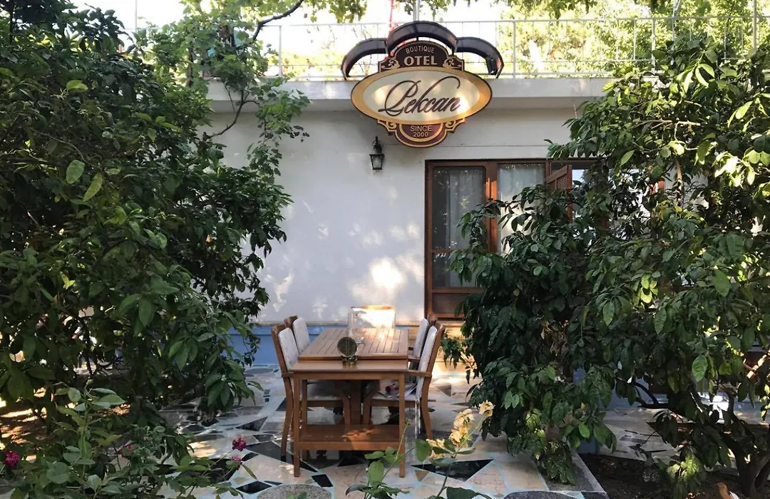 Pekcan Otel-1