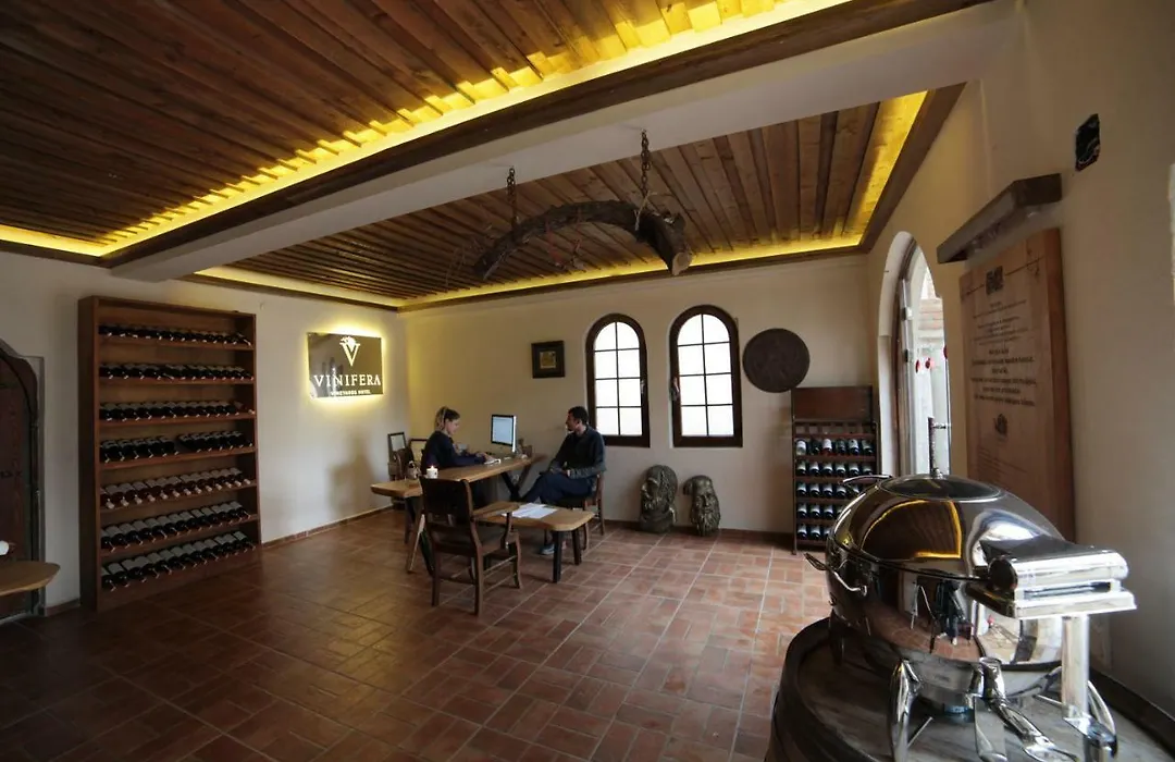 Vinifera Vineyards Hotel-1
