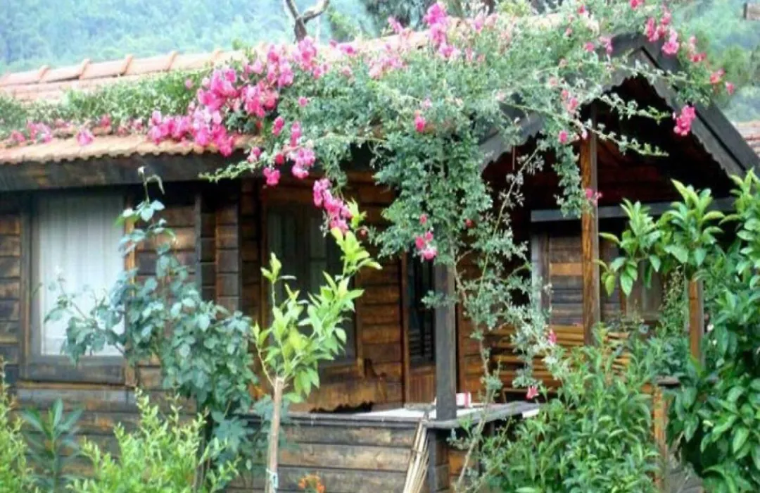 Adrasan Şekerbahçe Otel-1