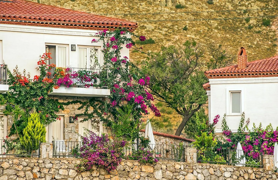 Swan Lake Hotel - Sadece Yetişkin-1