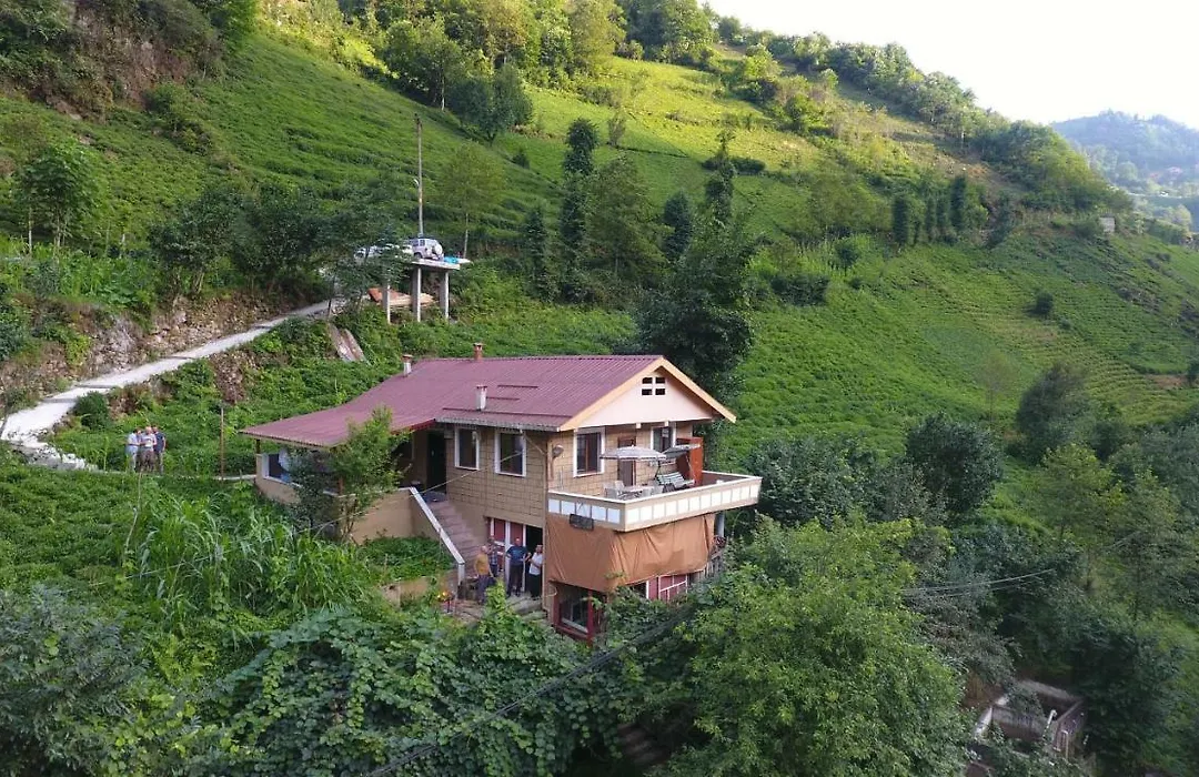 Yesil Doga Tatil Apart-1