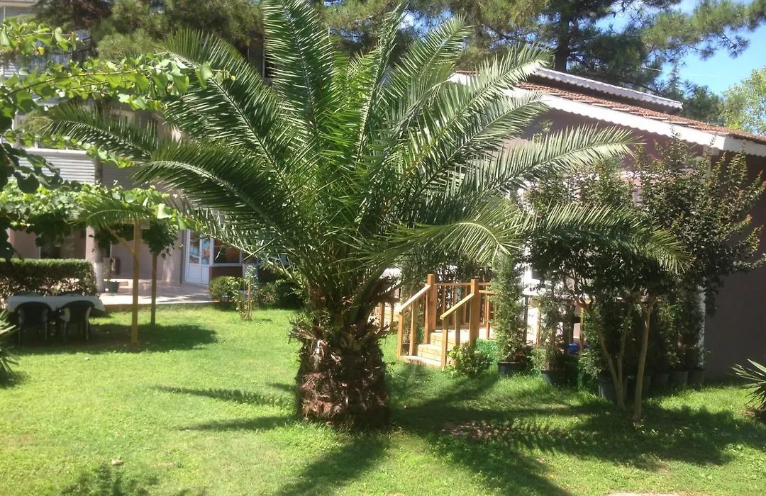 Shila Doert Mevsim Tatil Koyu-1