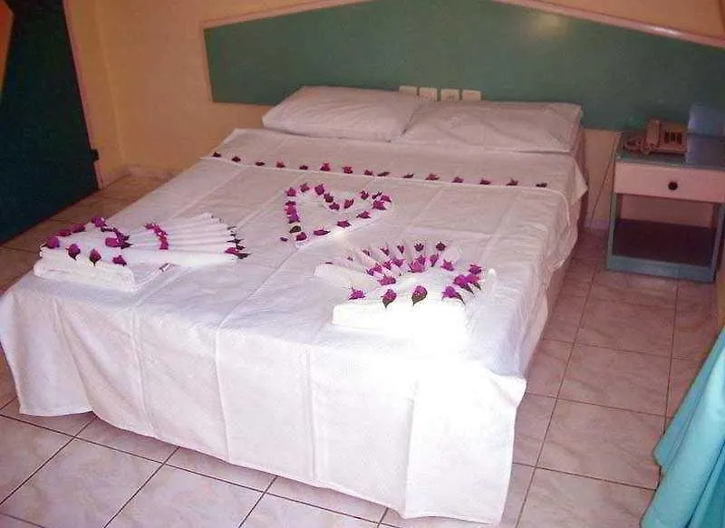 Happy Holiday Apart-1