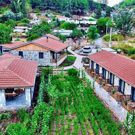 Dedehan Retreat Otel-2