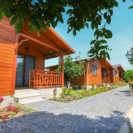 Merry Bungalow & Tent-3