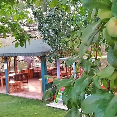 Yenivadi-2