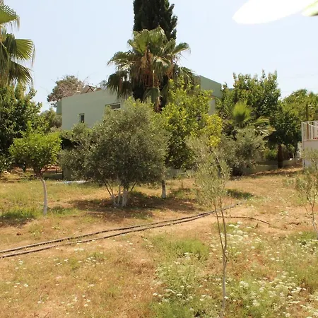 Patara Caretta Hotel-2