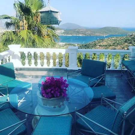Villa With Amazing View In Bodrum-2