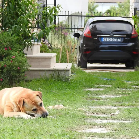 Dalaman Villa Karya-3