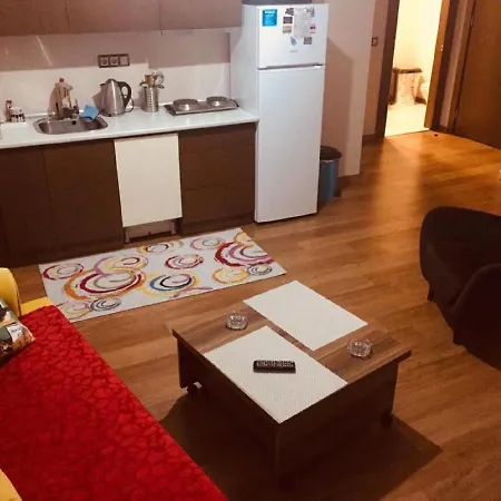 Falcon Palas Suites-2
