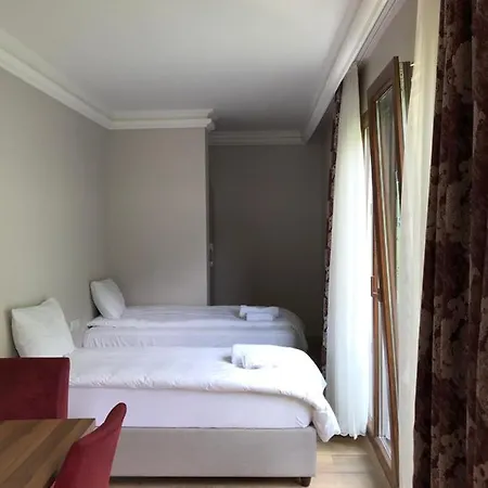 Oris Green Hotel-2