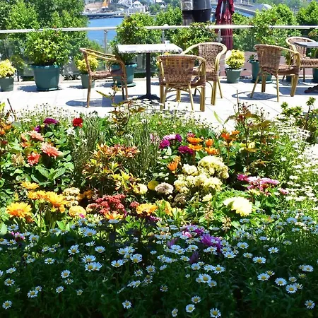 Hotel Garden Terrace-3