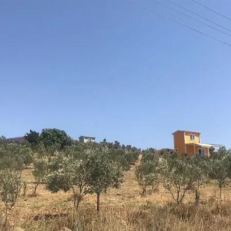 Lavender Tiny Houses-2