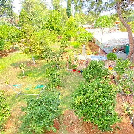 Villa Omar-2