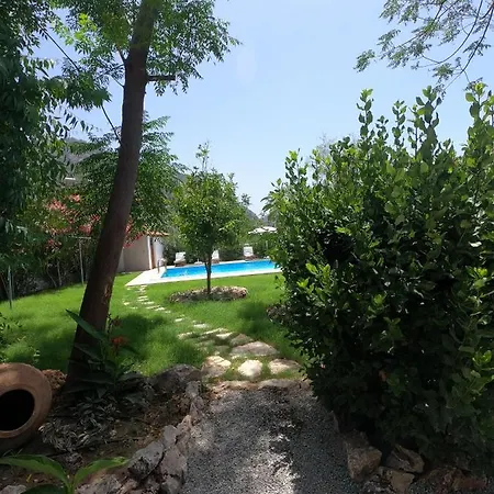 Mulberry House-3