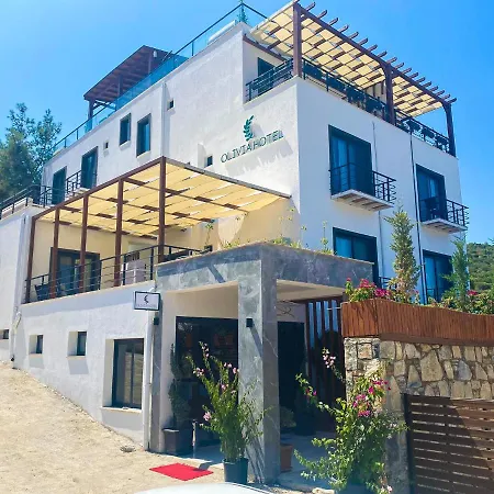 Hotel Olivia-3