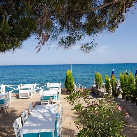 Mojo Otel Beach-2
