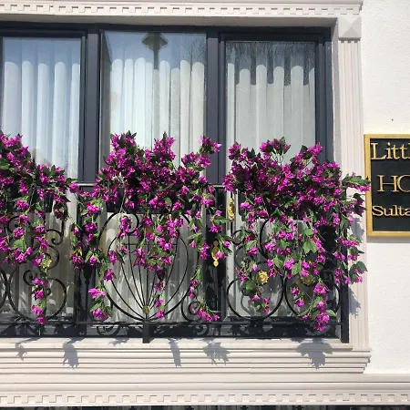 Little Sofia Hotel-2
