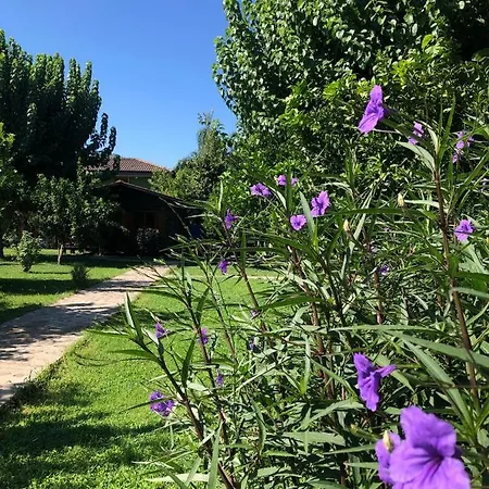 Ozge Bungalow Hotel-3