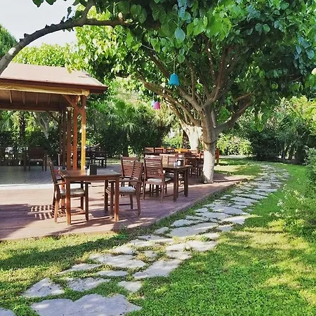 Ozge Bungalow Hotel-2