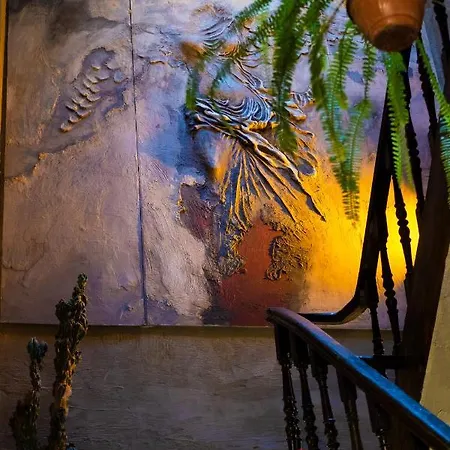 Vakana House Hostel-2
