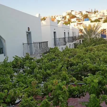 Dilek Apart Hotel-3