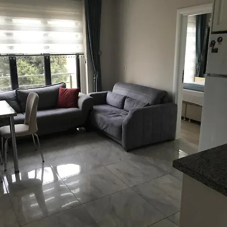 Aysa Suite-3