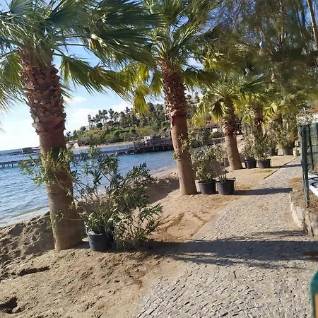 Platin Residence Bodrum Asarlik-3