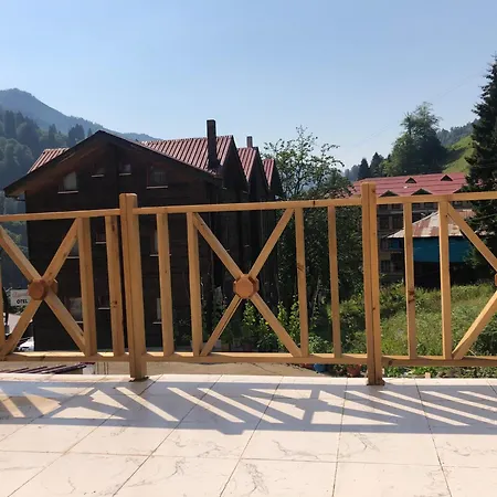 Ardic Apart Otel-2