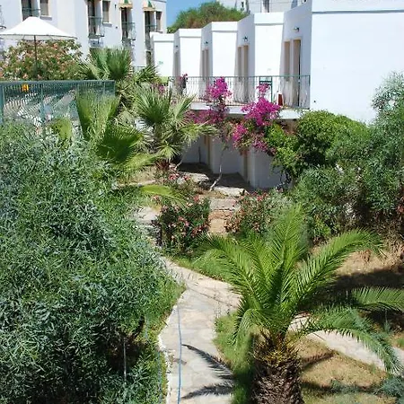 Sunshine Hotel-3