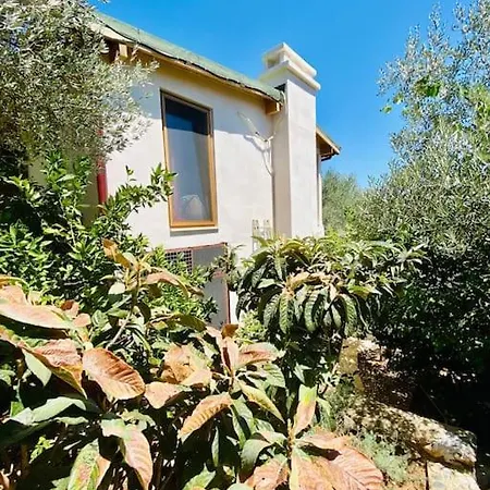 Artistic Villa Yasmincita With Private Pool-3
