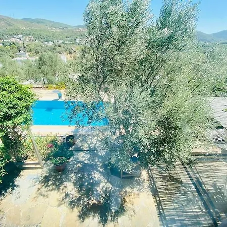 Artistic Villa Yasmincita With Private Pool-2