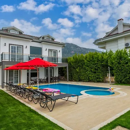 Blue - 4 Bedroom Holiday Villa In Hisaroenue-3
