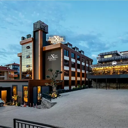Luxon Hotel Sakarya-2