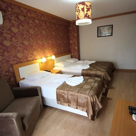 Flower Palace Hotel-3