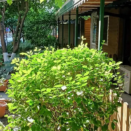 Santana Hotel-2