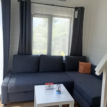 Lemon Tiny House-3
