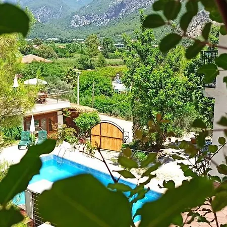 Swiss Eviniz Hotel - Adult Hotel-2
