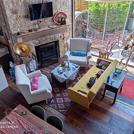 Serpil House-3