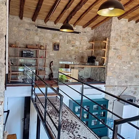 Serpil House-2