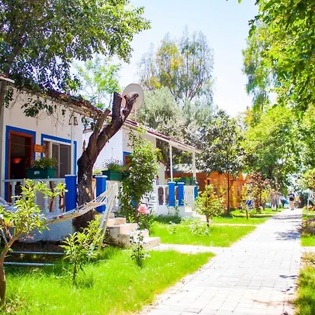 Naz Beach Bungalow Hotel In Antalya-2