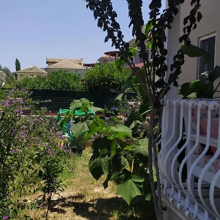 Villa Oliva-2