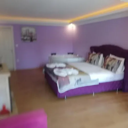 Alesta Butik Otel-3