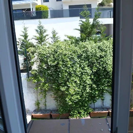 Le Jarden-3
