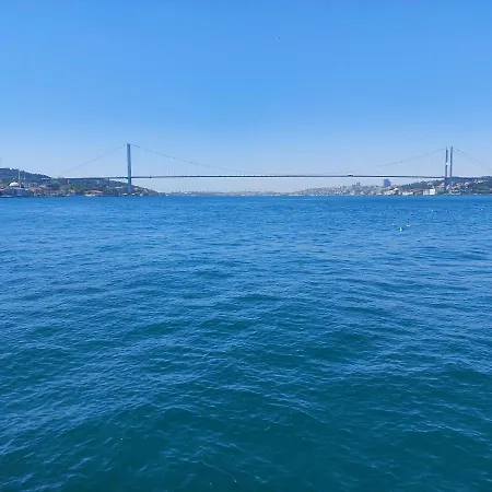 Bosphorus Mansion Will Amaze You W/ Private Duck-3